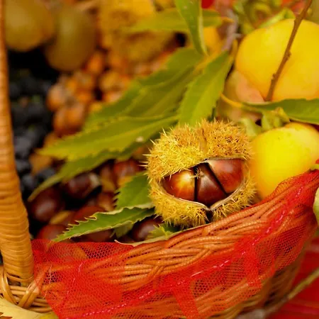 Penzion Agroturizem Rruga E Mullirit *