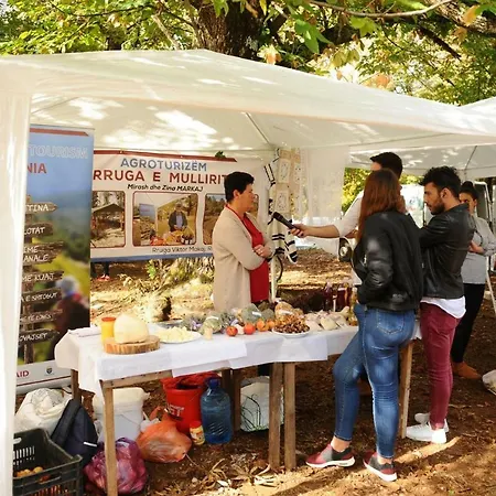 Penzion Agroturizem Rruga E Mullirit