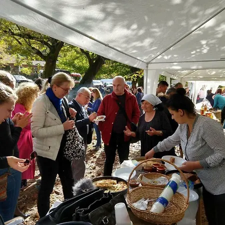 Agroturizem Rruga E Mullirit