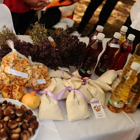 Agroturizem Rruga E Mullirit Πανσιόν Masel
