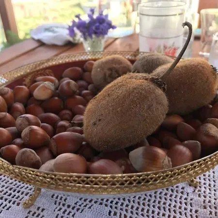 Agroturizem Rruga E Mullirit Πανσιόν